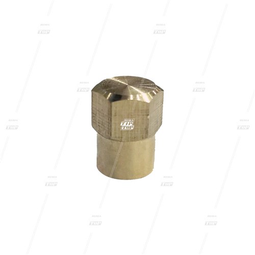 Brass Valve Cap - Hex (bag/100)