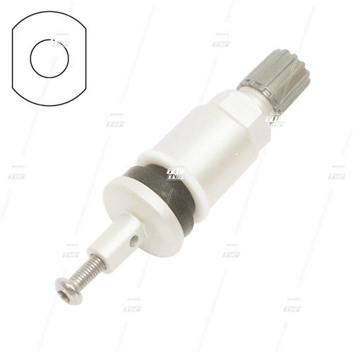 TPMS Clamp-in Valve 6-216